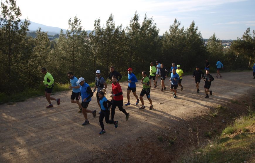 Trail Running Paradise at Seix Sou Foothills