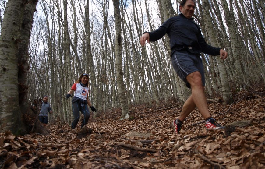 Trail Running Paradise at Chortiatis Mountain