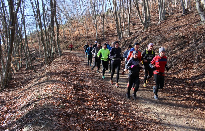 Trail Running Paradise at Chortiatis Mountain