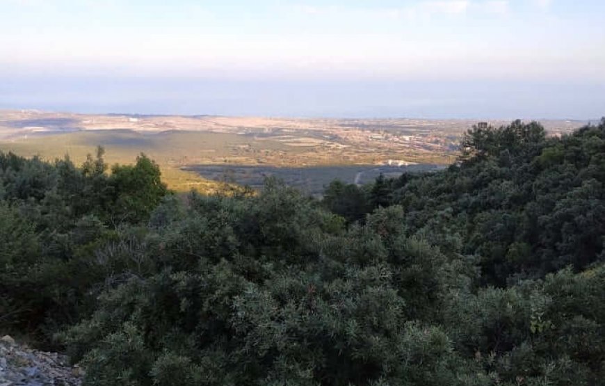 Trekking στον Όλυμπο στο φαράγγι του Ενιπέα του Αγ.Πνεύματος