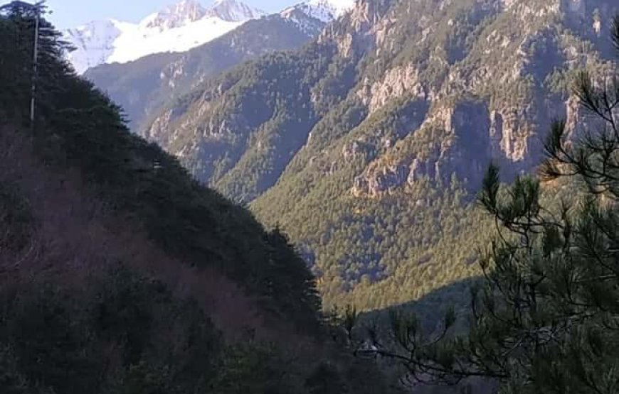 Trekking στον Όλυμπο στο φαράγγι του Ενιπέα του Αγ.Πνεύματος