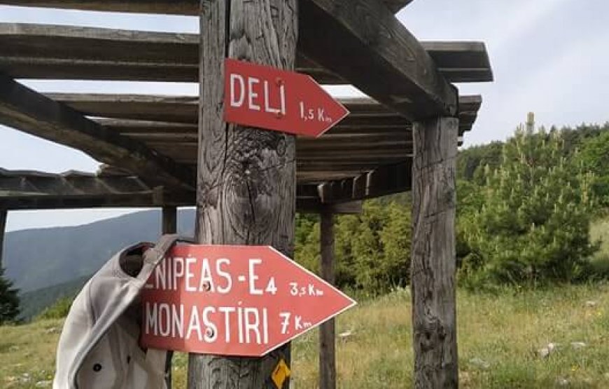 Trekking στον Όλυμπο στο φαράγγι του Ενιπέα του Αγ.Πνεύματος