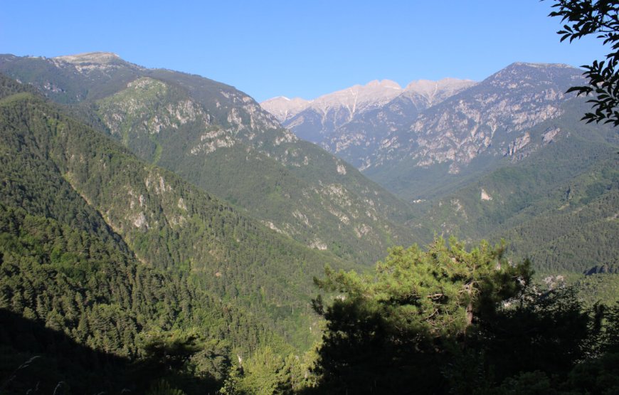 Trekking στον Όλυμπο στο φαράγγι του Ενιπέα του Αγ.Πνεύματος